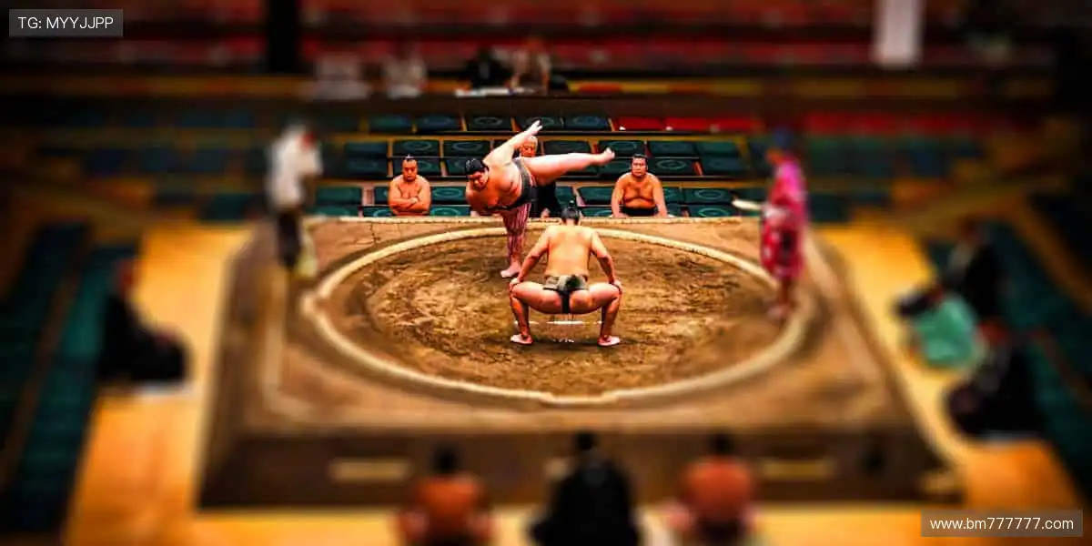 🔥 热血赛事,激情碰撞,官网直击现场心跳!